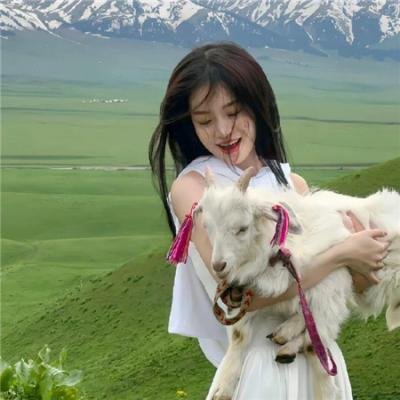 双世美姬